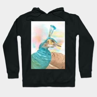 watercolor peacock Peafowl Hoodie